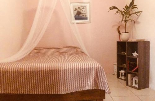 Savaneta House | Magical Garden