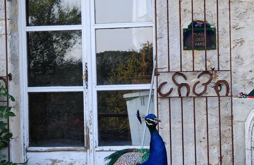 Bargeme Apartment | MAGNIFICENT "BASTIDE" GITE ON ORGANIC FARM/DONKEY HANDLING IN LE VERDON