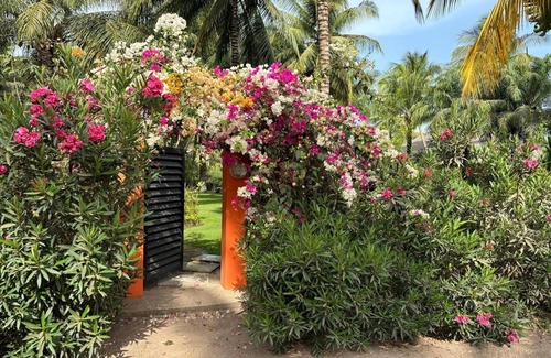 Cap Skirring Villa | Magnificent oceanfront villa with private pool and wooded garden.