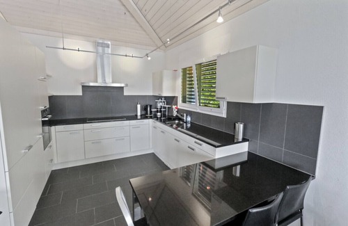 Cudrefin House | Magnificent villa with swimming pool and lake view