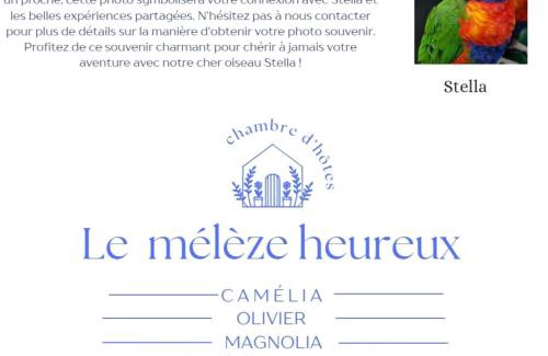 Brugelette House | Magnolia