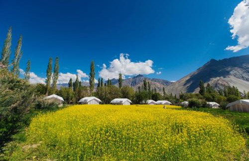 Hunder Bed & Breakfast | Magpie Camp Ladakh by LexStays