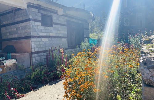New Manali Cottage | MahaaDev Cottage,Mansari| Homestay | Hostel | Rooms