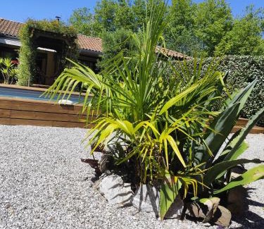 Saint-Jean-de-Marsacq Bed & Breakfast | Maison Balaguera