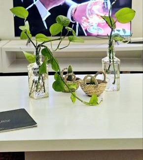 Ville Nouvelle Apartment | Maison Chafik