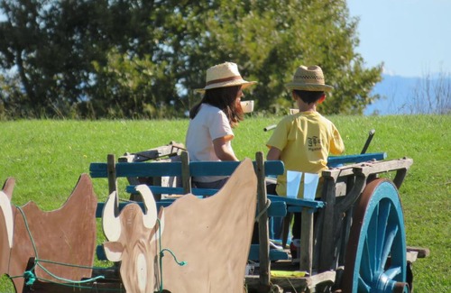 Monein Bed & Breakfast | Maison d'hôtes Marimpoey
