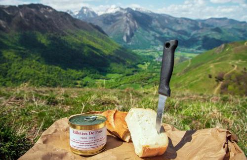 Accous Hotel | Maison Despourrins