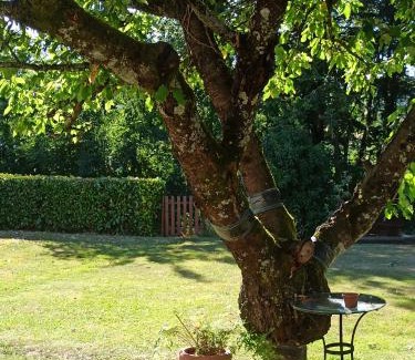 Charlieu-Belmont Villa | Maison en pleine nature entre Roanne et Charlieu