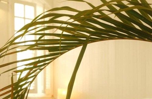 Pointe-a-Pitre Hotel | Maison Victoire
