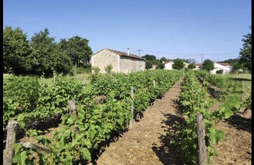 Savigne House | Maison Vigneronne - Stay on a vineyard, in the winegrowers cottage