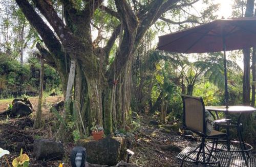 Mountain View House | Majestic Banya tree cabin