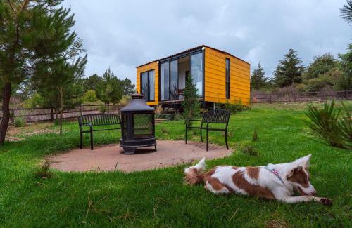 Tapalpa House | Makalu Cabin in Tapalpa Forest for 4 Guests