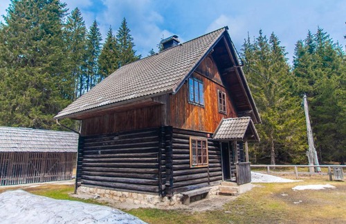 Goreljek House | Mala koča Wooden Cabin