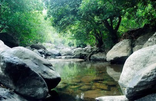 Malappuram Cabin | Malabar Maskin