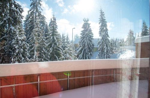 Harghita-Bai Ski Chalet | Mandel családi pihenőház