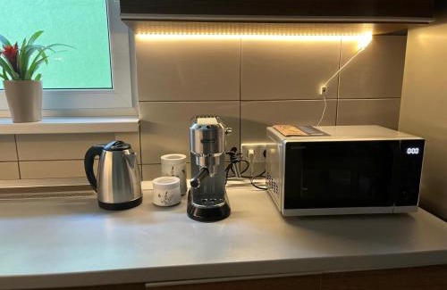 Tirgu Mures Apartment | MANGO apartman
