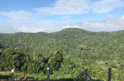 San Ignacio House | Mango Walk Inn
