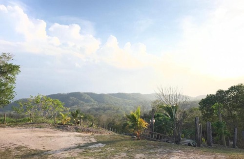 San Ignacio House | Mango Walk Inn