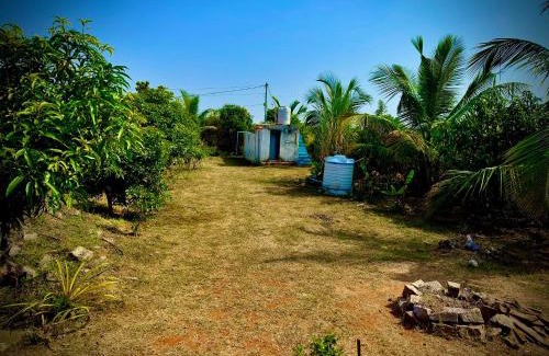 Bhongir House | MangoHut Farmhouse Pool Villa