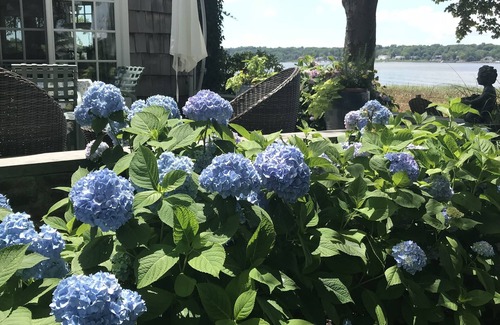 Port Washington House | Manhasset Bay. Easy commute to NYC Quiet setting Recent Cancellation opportunity