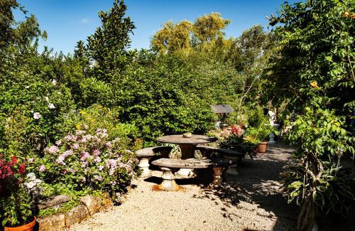 Sagy Bed & Breakfast | Manoir-de-Sagy