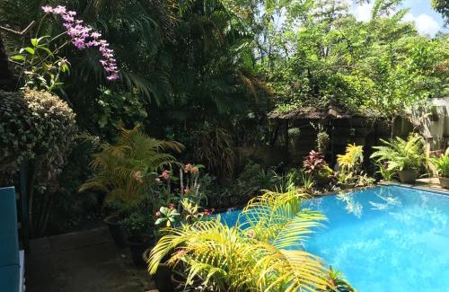 Mararikulam House | Marari Dreamz Homestay