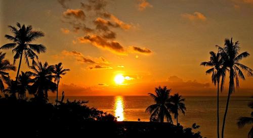 Tomia Island Resort | Marind Dive Eco Resort