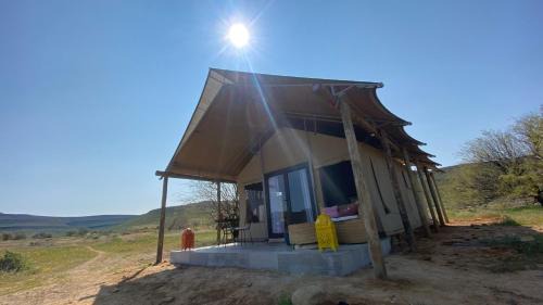 Cederberg Other | Marquee Safari Tent lachenalias