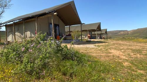 Cederberg Other | Marquee Safari Tent lachenalias