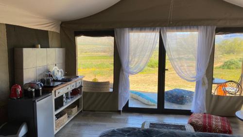 Cederberg Other | Marquee Safari Tent lachenalias
