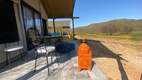 Cederberg Other | Marquee Safari Tent lachenalias