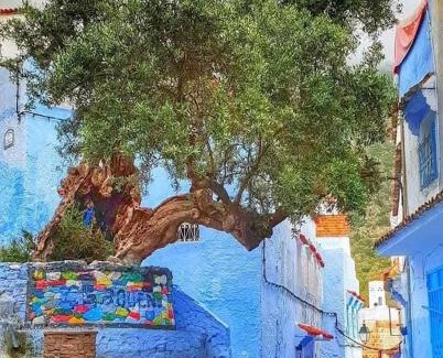 Inezgane Apartment | Marruecos Excursiones