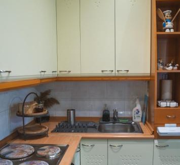 Exaplatanos House | Marvic House