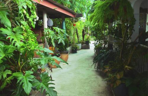 Ba Apartment | Marys Cottage