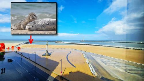 Ostend City Centre Apartment | Maui - zeezichtappartement te Oostende