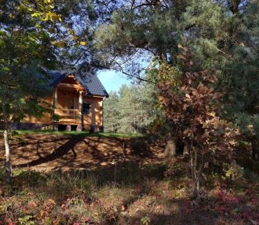Lidzbark Welski House | Mazurska bania u Pana Szeptuna - drewniany dom na skraju lasu