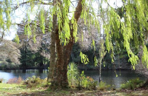 Lower Kaimai House | McLaren Lake View