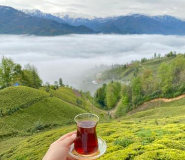 Ayder Bed & Breakfast | Mecra Dağ Evi