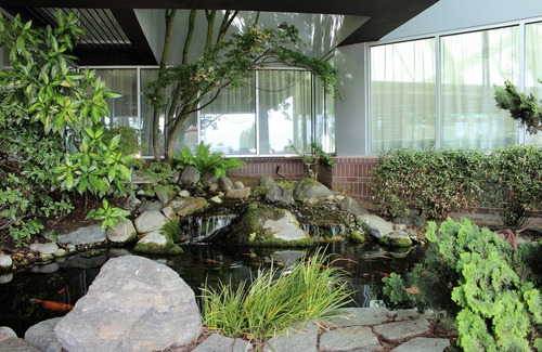 Arlington Apartment | Medallion Inn & Suites