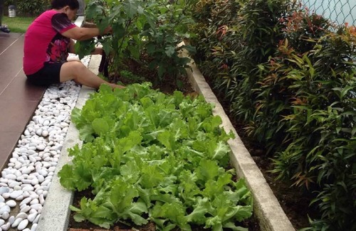 Ayer Panas House | MELAKA KAMPUNG BUNGALOW HOMESTAY - JASIN