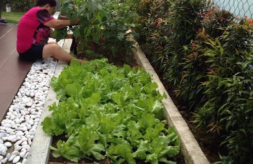 Ayer Panas House | MELAKA KAMPUNG BUNGALOW HOMESTAY - JASIN