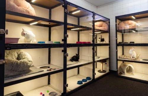 Piestany Hotel | Meow Hotel - Luxusný hotel pre mačky v Piešťanoch
