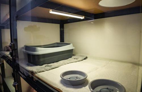 Piestany Hotel | Meow Hotel - Luxusný hotel pre mačky v Piešťanoch
