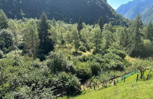 Cugnasco-Gerra Villa | Meravigliosa villa nel verde