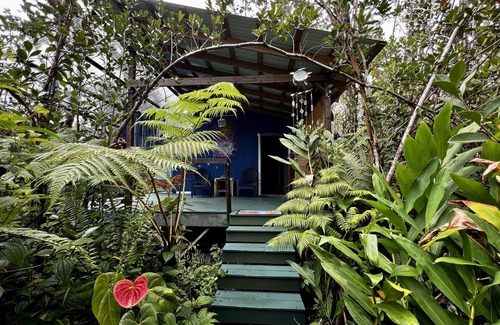 Fern Forest Cabin | Mermaid Lair Near Worlds Most Active Volcano!