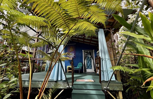 Fern Forest Cabin | Mermaid Lair Near Worlds Most Active Volcano!