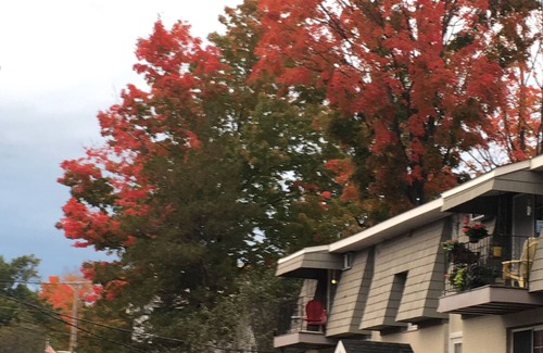 Westborough Condo | Metrowest Nest - A Cozy 1 bedroom condo + parking near commuter rail