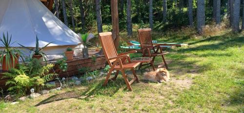 Haljala Parish Other | Miami Jungle Glamping