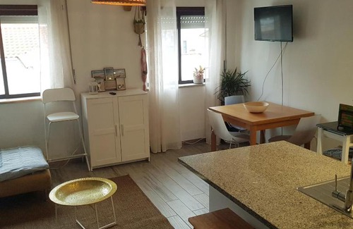 Praia de Mira Apartment | Miau Beach Apartment - Pet Friendly