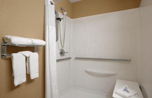 Mineralwells Hotel | Microtel Inn & Suites By Wyndham Mineral Wells/Parkersburg